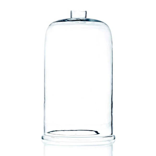 Glas Lanterne M. Kant