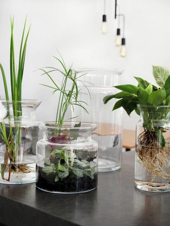 Bose Vase i klar glas, D 15,5 x H 29,5 cm